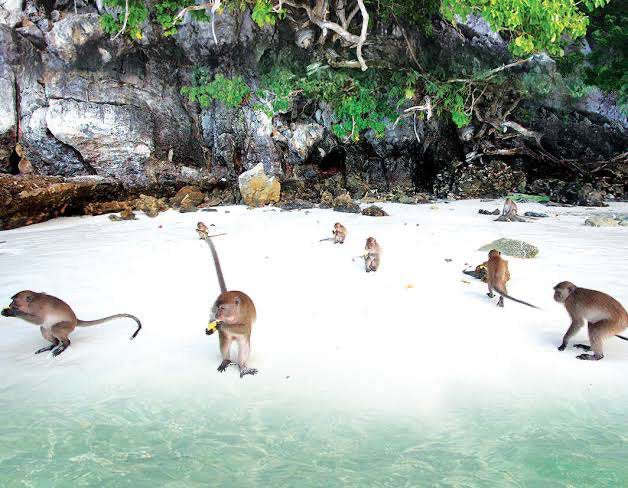 PHI PHI ISLANDS