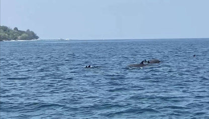 RAYA ET ÎLES CORAILLES